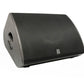 Stage Monitor LS-x15 Monitor da palco.
